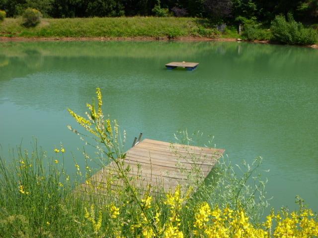 Della Genga Resort Arezzola Cameră foto